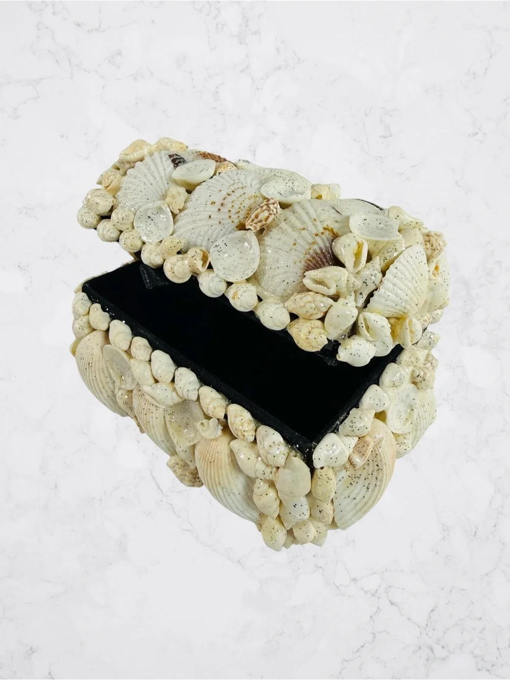 Vintage Natural Seashell Trinket Jewelry Box Lined Black Ocean Nautical Beach